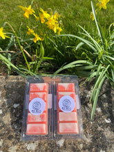 Load image into Gallery viewer, Wax Melt Snap Bars