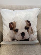 Load image into Gallery viewer, Pet Cushions

