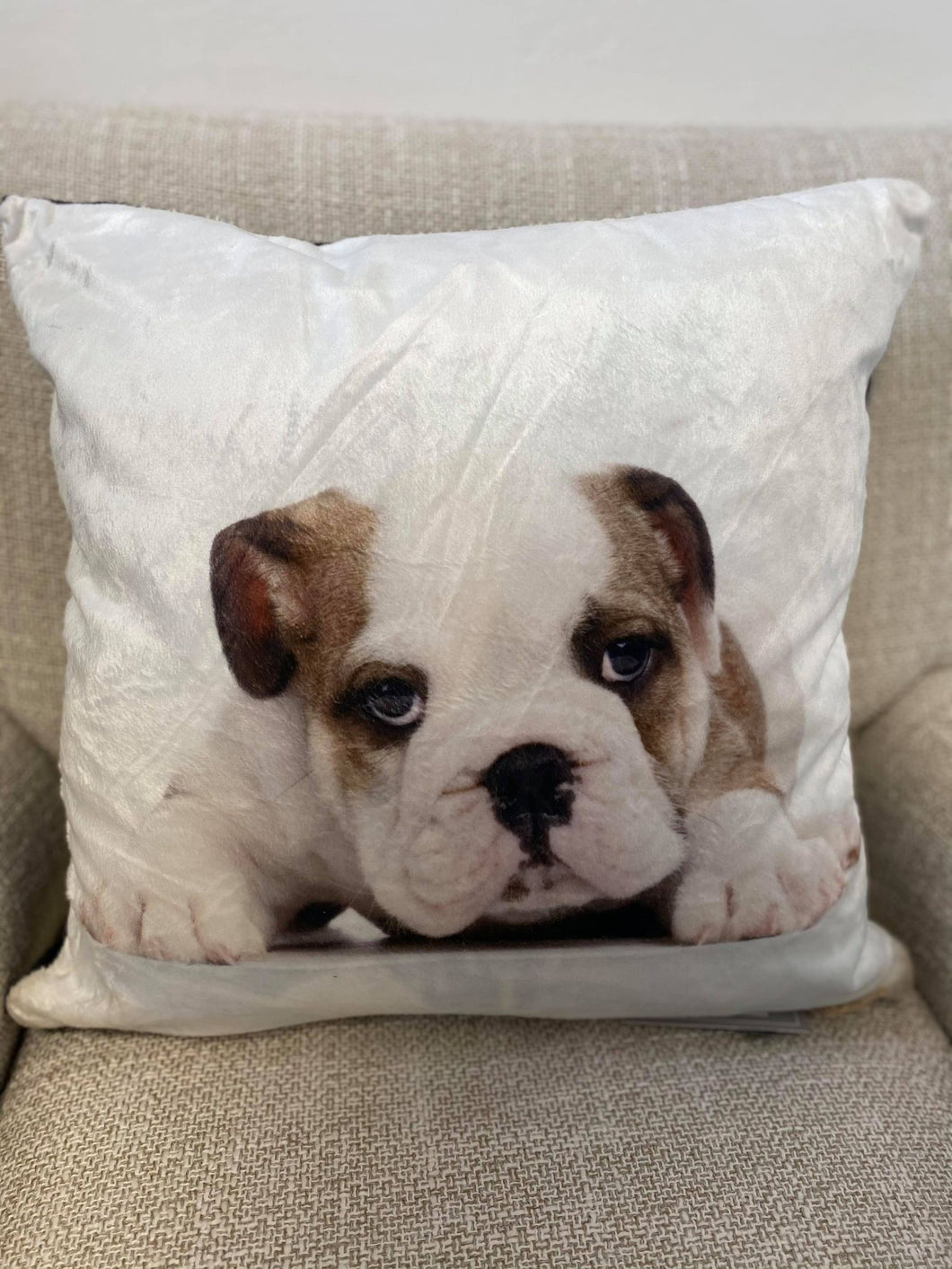 Pet Cushions